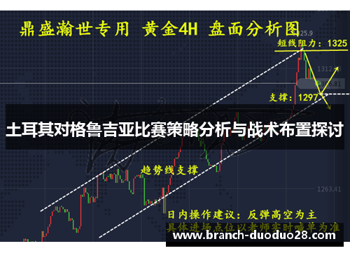 土耳其对格鲁吉亚比赛策略分析与战术布置探讨
