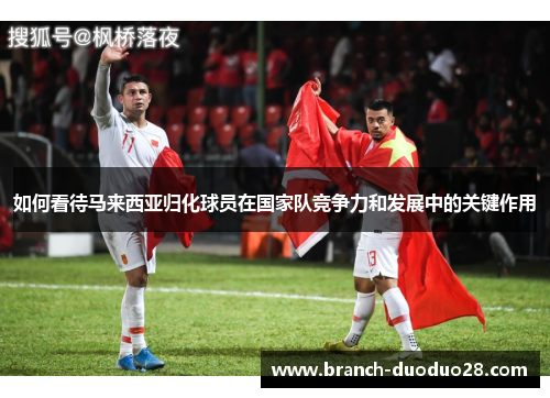如何看待马来西亚归化球员在国家队竞争力和发展中的关键作用