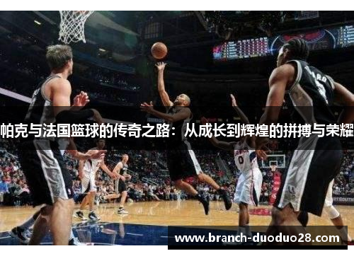 帕克与法国篮球的传奇之路：从成长到辉煌的拼搏与荣耀