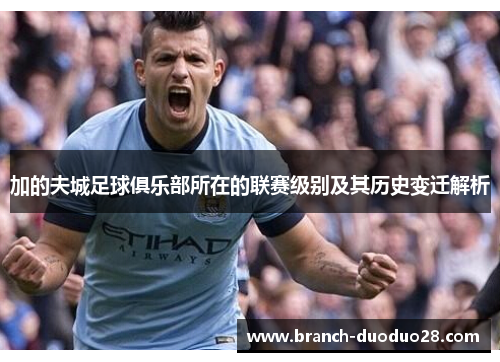 加的夫城足球俱乐部所在的联赛级别及其历史变迁解析 加的夫城足球俱乐部所在的联赛级别及其历史变迁解析