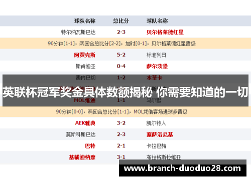 英联杯冠军奖金具体数额揭秘 你需要知道的一切