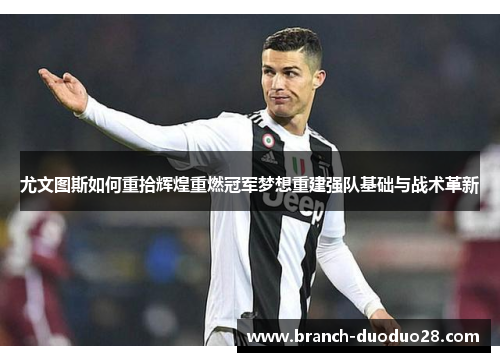 尤文图斯如何重拾辉煌重燃冠军梦想重建强队基础与战术革新