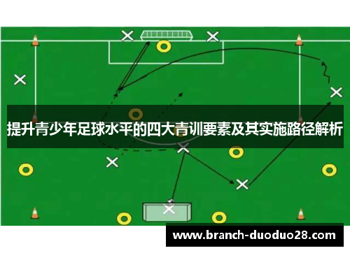 提升青少年足球水平的四大青训要素及其实施路径解析