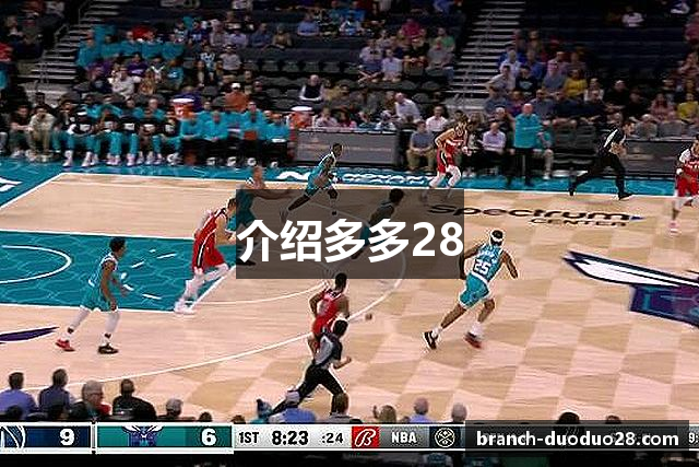 介绍多多28